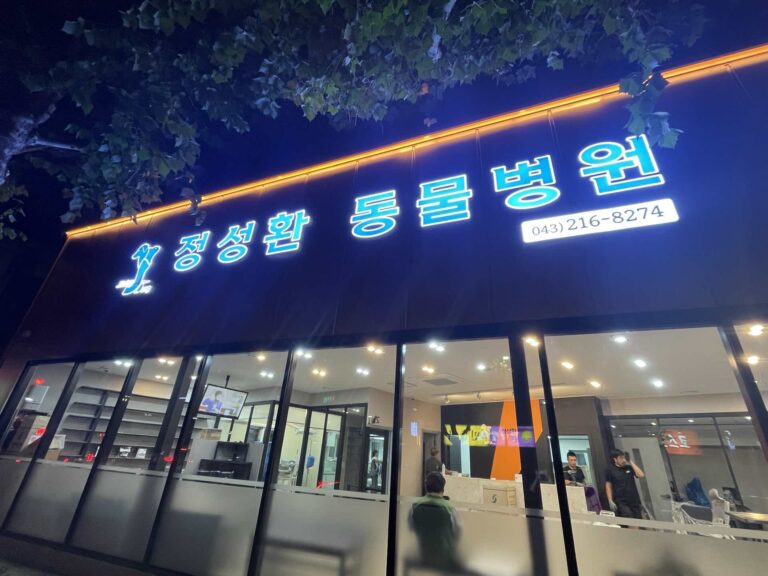 KakaoTalk_Photo_2025-09-26-18-58-56-024-cmpr